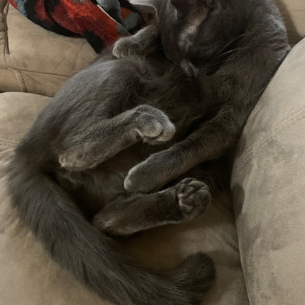 Meet your Posher, Meg